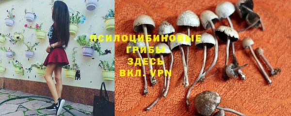 марихуана Богданович