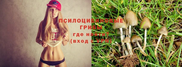 ALPHA-PVP Богородицк