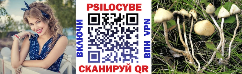 Галлюциногенные грибы Cubensis Верхняя Салда