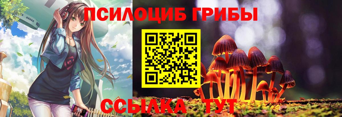 Верхняя Салда  даркнет сайт  Вход с VPN  Галлюциногенные грибы GOLDEN TEACHER  Псилоцибиновые грибы прущие грибы 